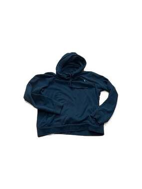 AllSaints Raven Pullover Ramskull Logo Hoodie Medium Blue